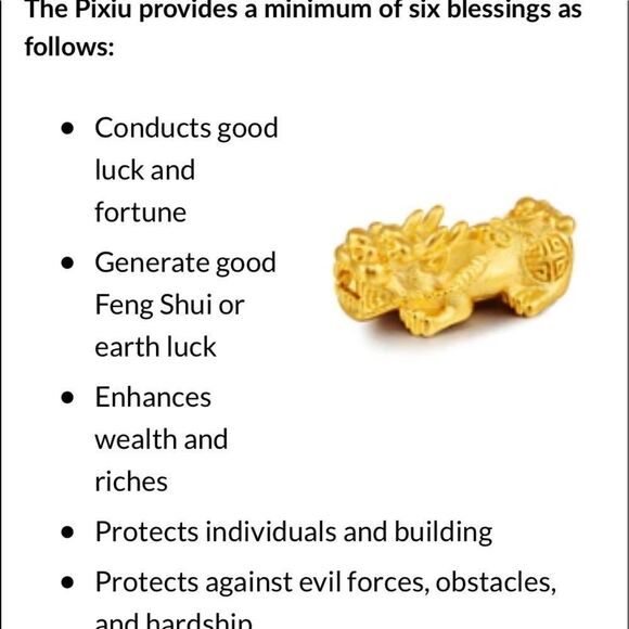 💜 Black Obsidian Feng Shui Wealth Charm Bracelet - Picture 6 of 6